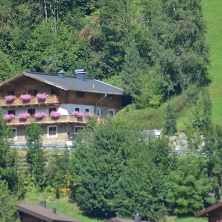 Ferienhaus Rieder Wald im Pinzgau Exterior photo