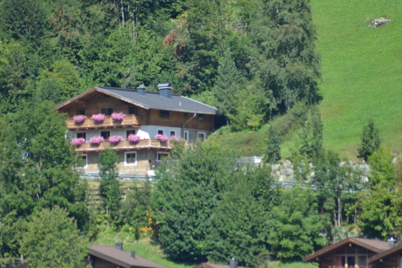 Ferienhaus Rieder Wald im Pinzgau Exterior photo